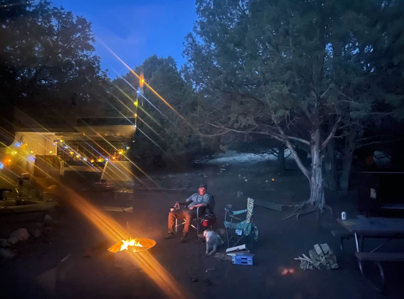 Hannah T.'s photo of camping with pets at Pinon Flats Campground — Great Sand Dunes National Park near Great Sand Dunes National Park And Preserve