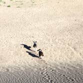 Review photo of Pinon Flats Campground — Great Sand Dunes National Park by Joel R., October 30, 2023
