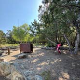 Review photo of Pinon Flats Campground — Great Sand Dunes National Park by Eileen C., June 8, 2025