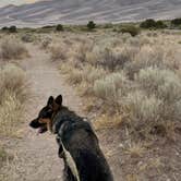 Review photo of Pinon Flats Campground — Great Sand Dunes National Park by Elena N., July 19, 2026
