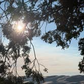 Review photo of Pinon Flats Campground — Great Sand Dunes National Park by Kaitlin N., August 12, 2026