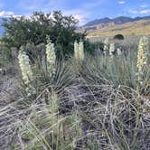 Review photo of Pinon Flats Campground — Great Sand Dunes National Park by Joel R., October 30, 2023
