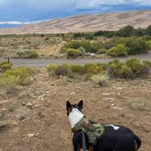 Review photo of Pinon Flats Campground — Great Sand Dunes National Park by Robert L., September 10, 2026