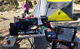 Chris E.'s photo at Pinon Flats Campground — Great Sand Dunes National Park near Great Sand Dunes National Park & Preserve