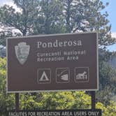 Review photo of Ponderosa - Curecanti National Recreation Area by Greg L., June 9, 2025