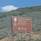 Review photo of Ponderosa - Curecanti National Recreation Area by Greg L., June 9, 2025