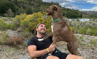 Mark C.'s photo of camping with pets at Prairie Point Campground near Vail, CO