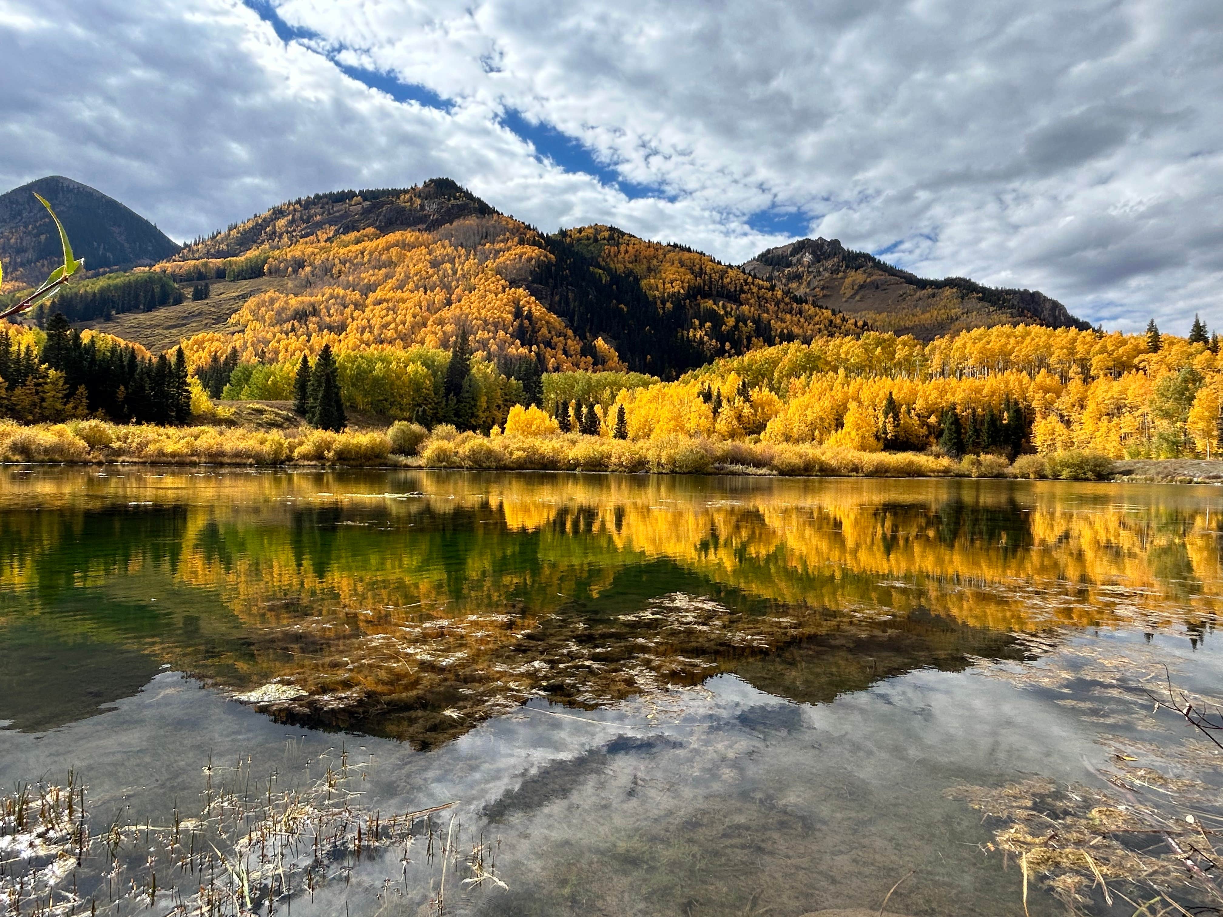 Tamara T.'s photo of a dispersed camping area at Priest Lake Dispersed Camping Area near Placerville, CO
