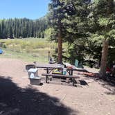 Review photo of Priest Lake Dispersed Camping Area by Jensen S., May 31, 2026