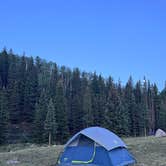 Review photo of Priest Lake Dispersed Camping Area by Katerina G., June 27, 2026