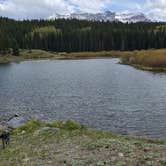 Review photo of Priest Lake Dispersed Camping Area by Jesse G., May 20, 2026