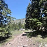 Review photo of Priest Lake Dispersed Camping Area by Jensen S., May 31, 2026