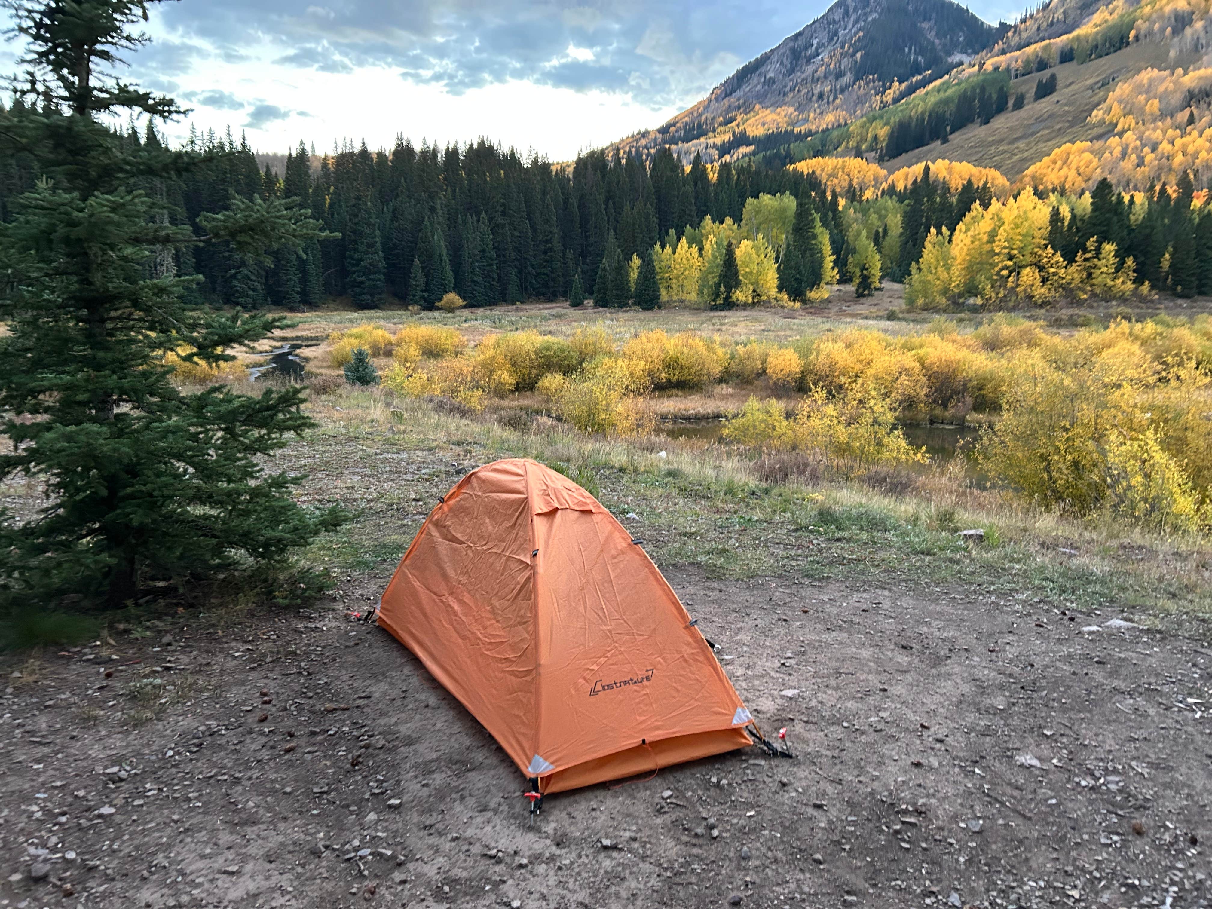 Tamara T.'s photo at Priest Lake Dispersed Camping Area near Rico, CO