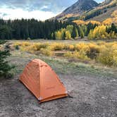 Review photo of Priest Lake Dispersed Camping Area by Tamara T., October 6, 2024