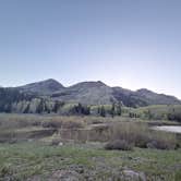 Review photo of Priest Lake Dispersed Camping Area by Jensen S., May 31, 2026