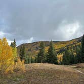 Review photo of Priest Lake Dispersed Camping Area by Taylor H., October 10, 2023