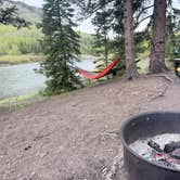 Review photo of Priest Lake Dispersed Camping Area by Jensen S., May 31, 2026