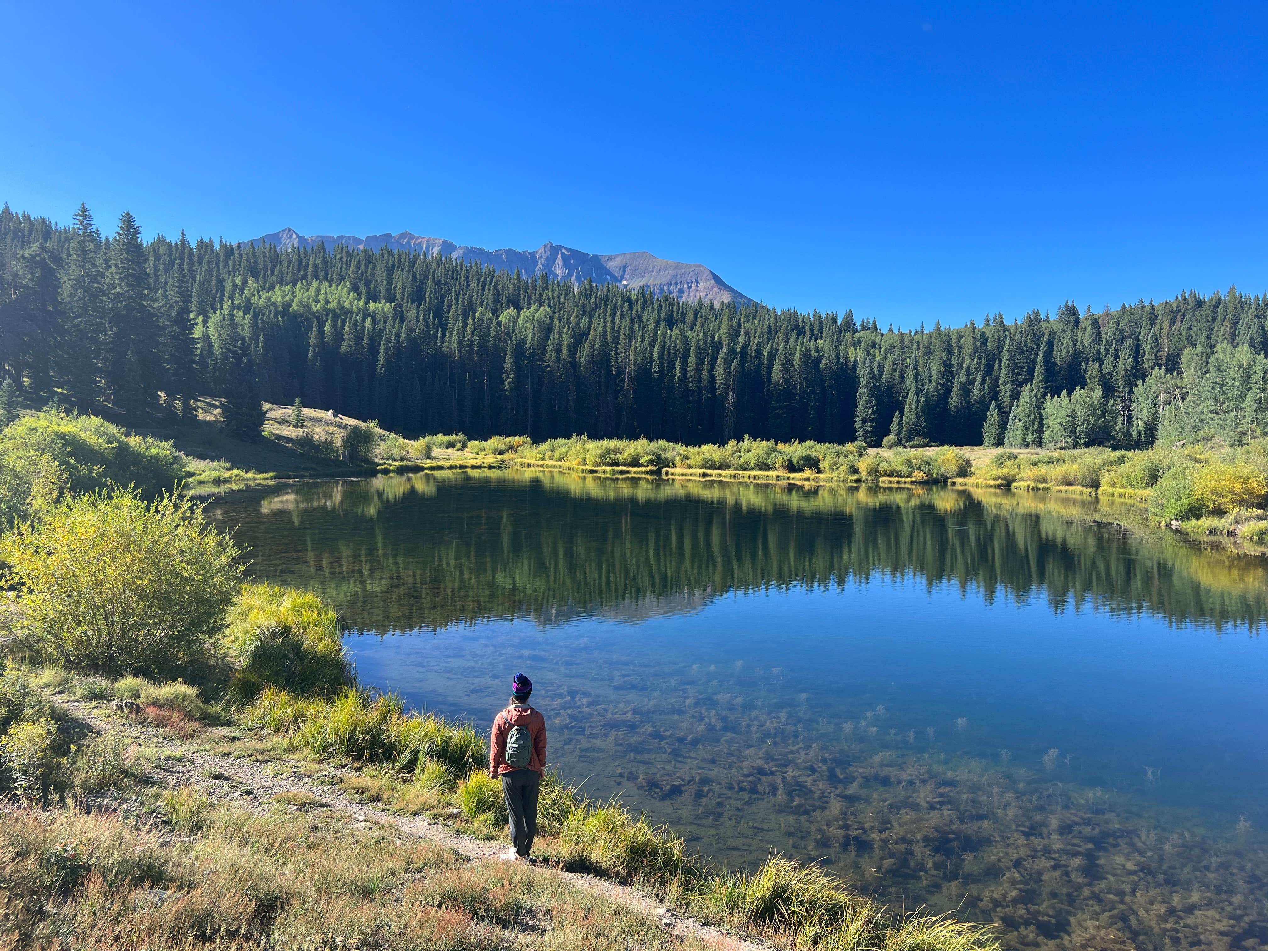 Derek B.'s photo of a dispersed camping area at Priest Lake Dispersed Camping Area near Nucla, CO