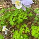 Review photo of Rainbow Lakes Campground by Darren C., July 15, 2024