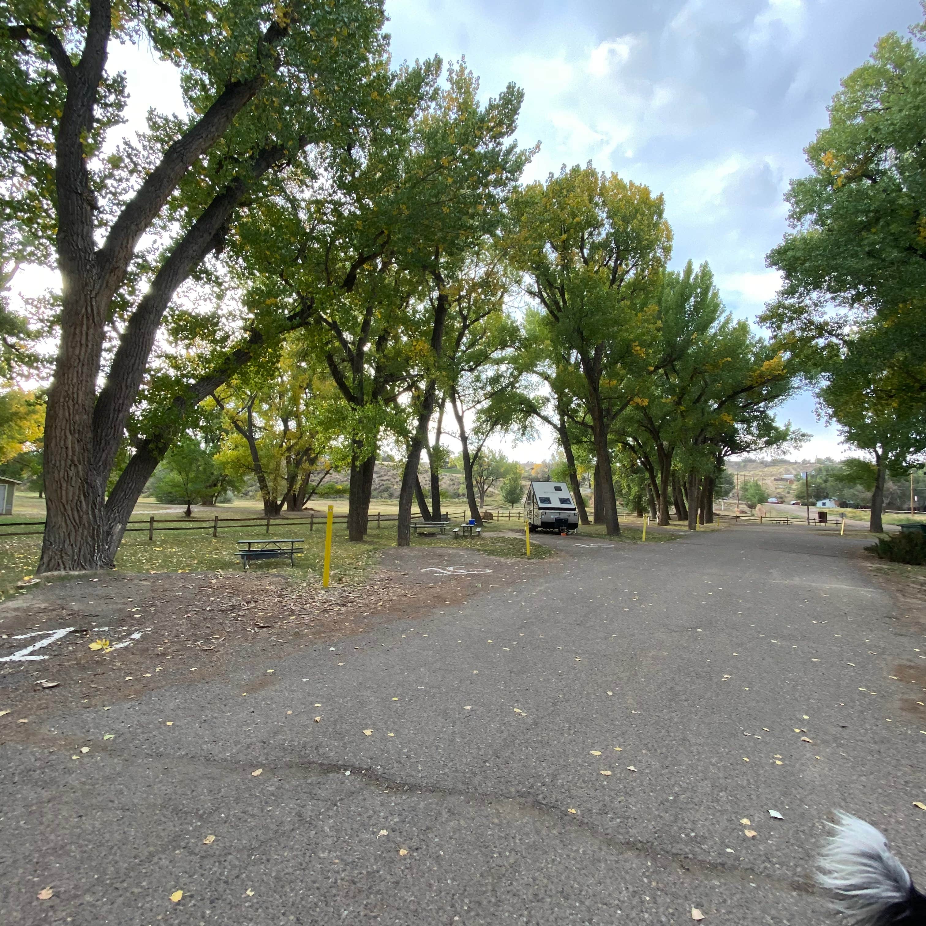 Kim R.'s photo of camping with pets at Rangely Camper Park near Dinosaur National Monument