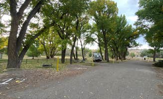 Kim R.'s photo of camping with pets at Rangely Camper Park near Dinosaur National Monument