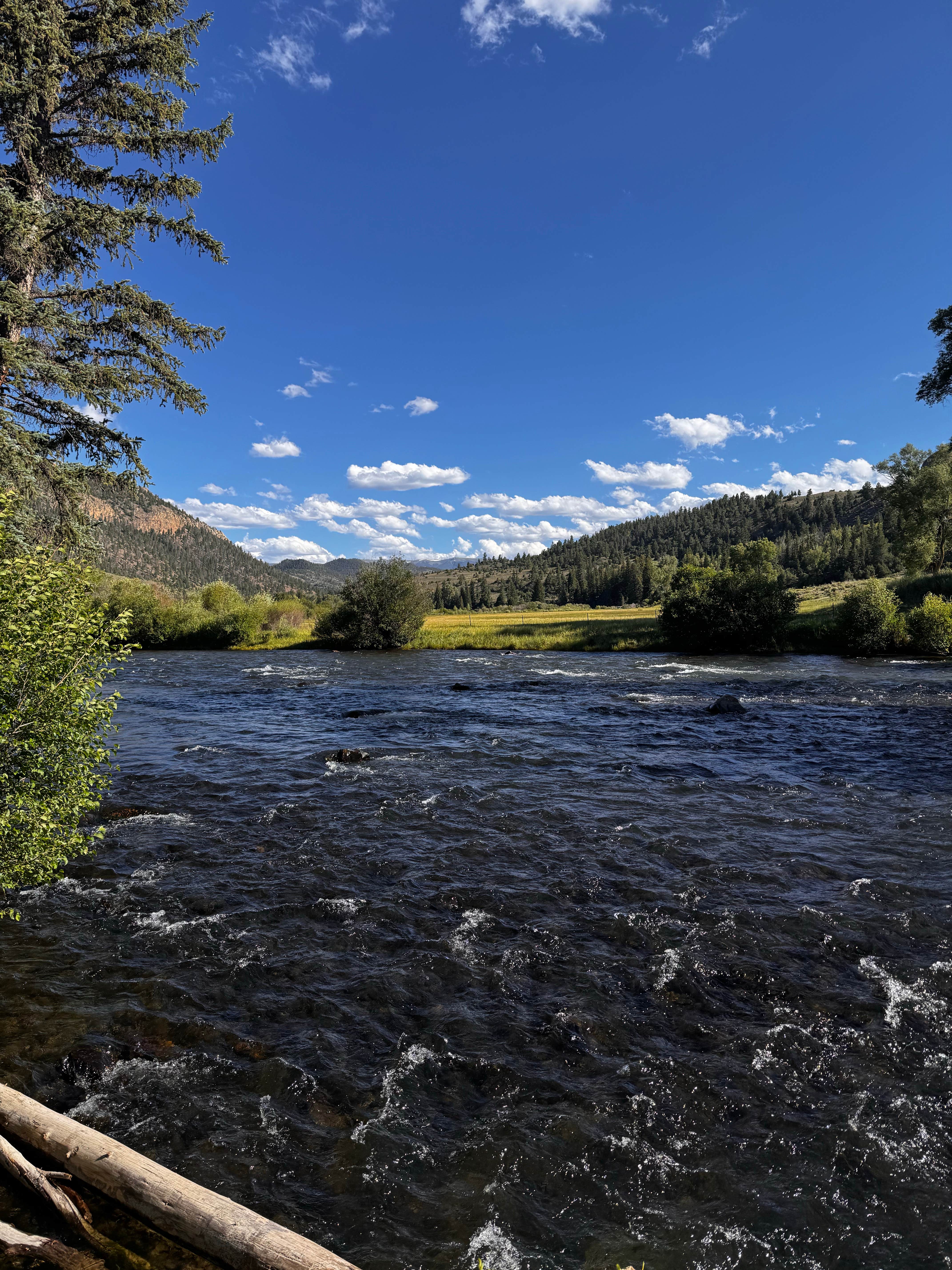 Camper-submitted photo at Red Bridge Campground near Powderhorn, CO