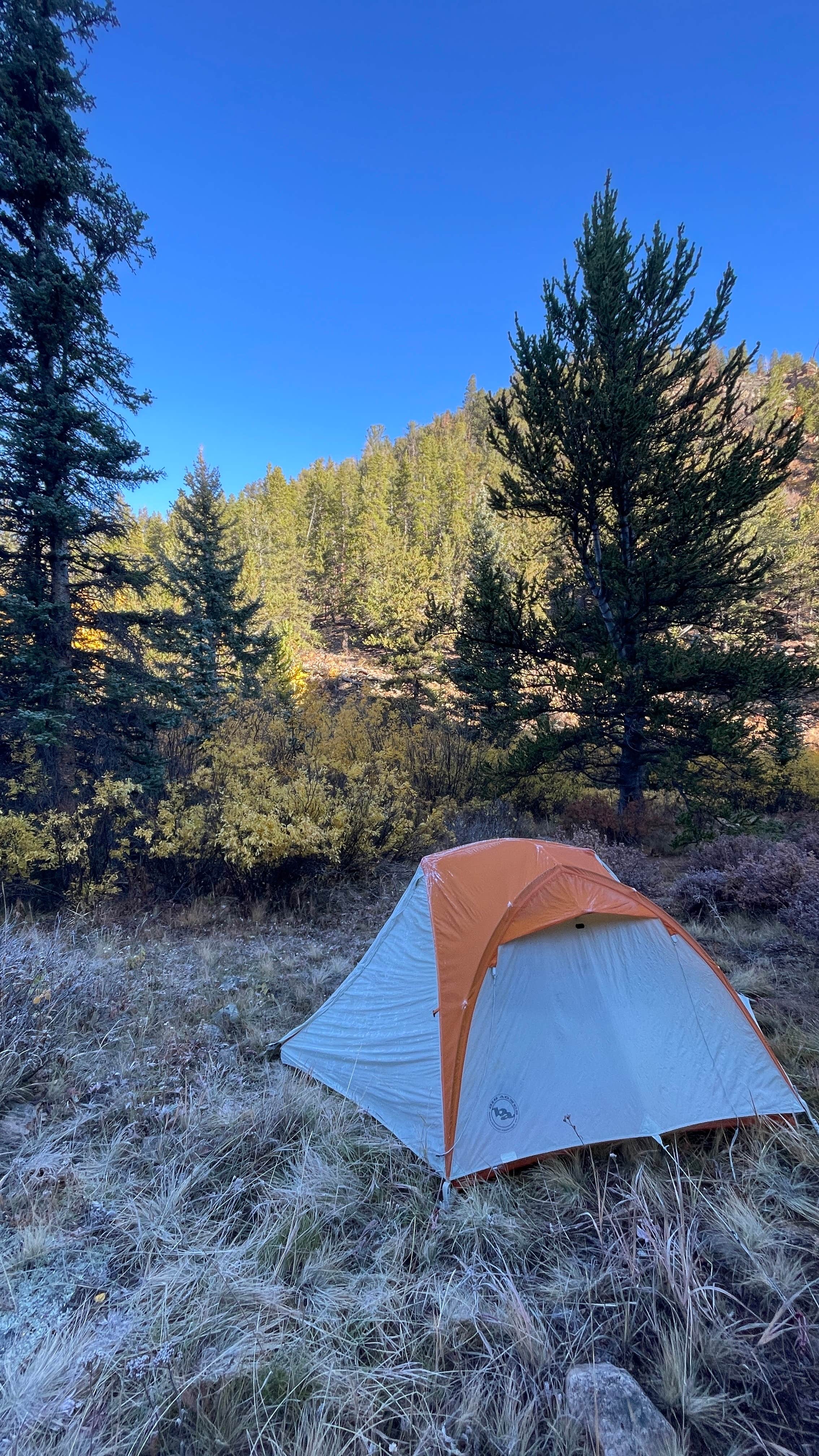 Rich Creek Dispersed