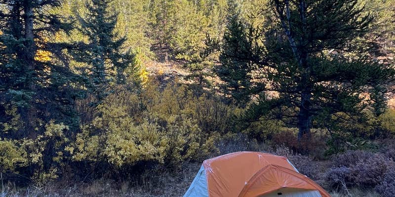 Camper submitted image from Rich Creek Dispersed