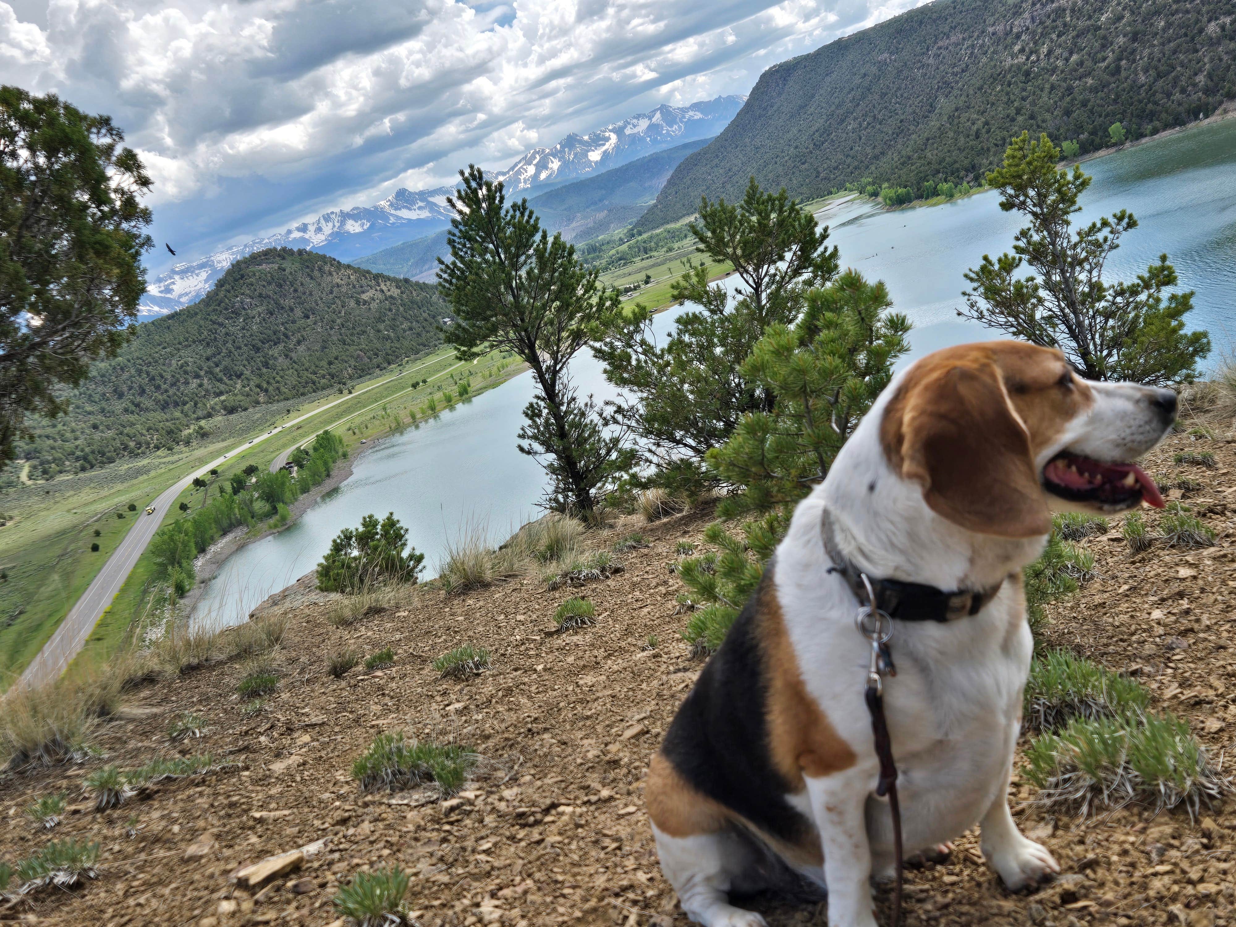 Lori A.'s photo of camping with pets at Dakota Terraces Campground — Ridgway State Park near Ridgway, CO