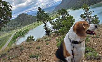 Lori A.'s photo of camping with pets at Dakota Terraces Campground — Ridgway State Park near Ridgway, CO