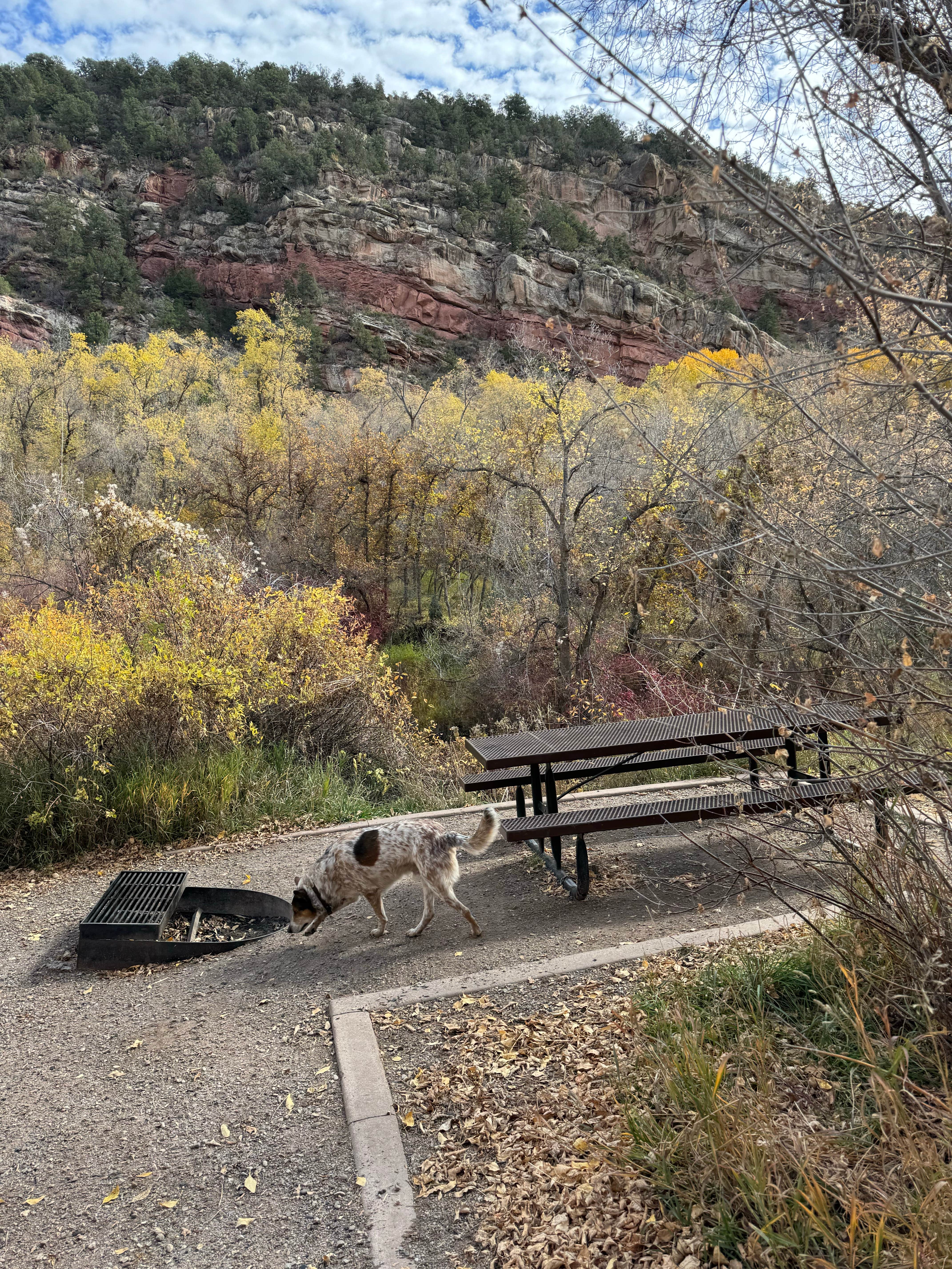 Isabelle K.'s photo of camping with pets at Rifle Falls State Park Campground near Glenwood Springs, CO