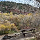 Review photo of Rifle Falls State Park Campground by Isabelle K., October 27, 2024