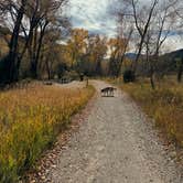 Review photo of Rifle Falls State Park Campground by Isabelle K., October 27, 2024