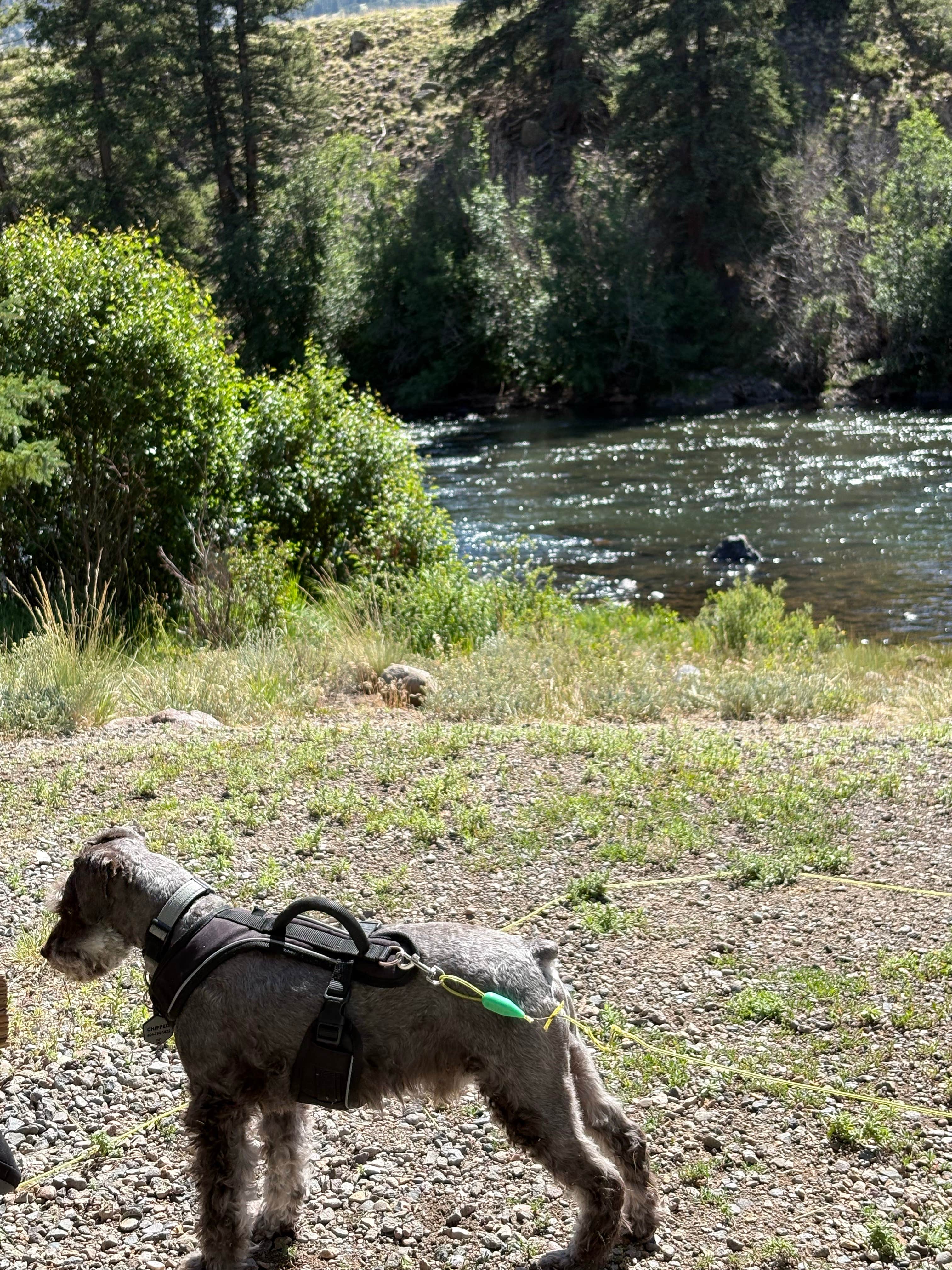 Camper-submitted photo at Rio Grande Campground near City of Creede, CO
