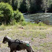 Review photo of Rio Grande Campground by Michele A., July 26, 2025