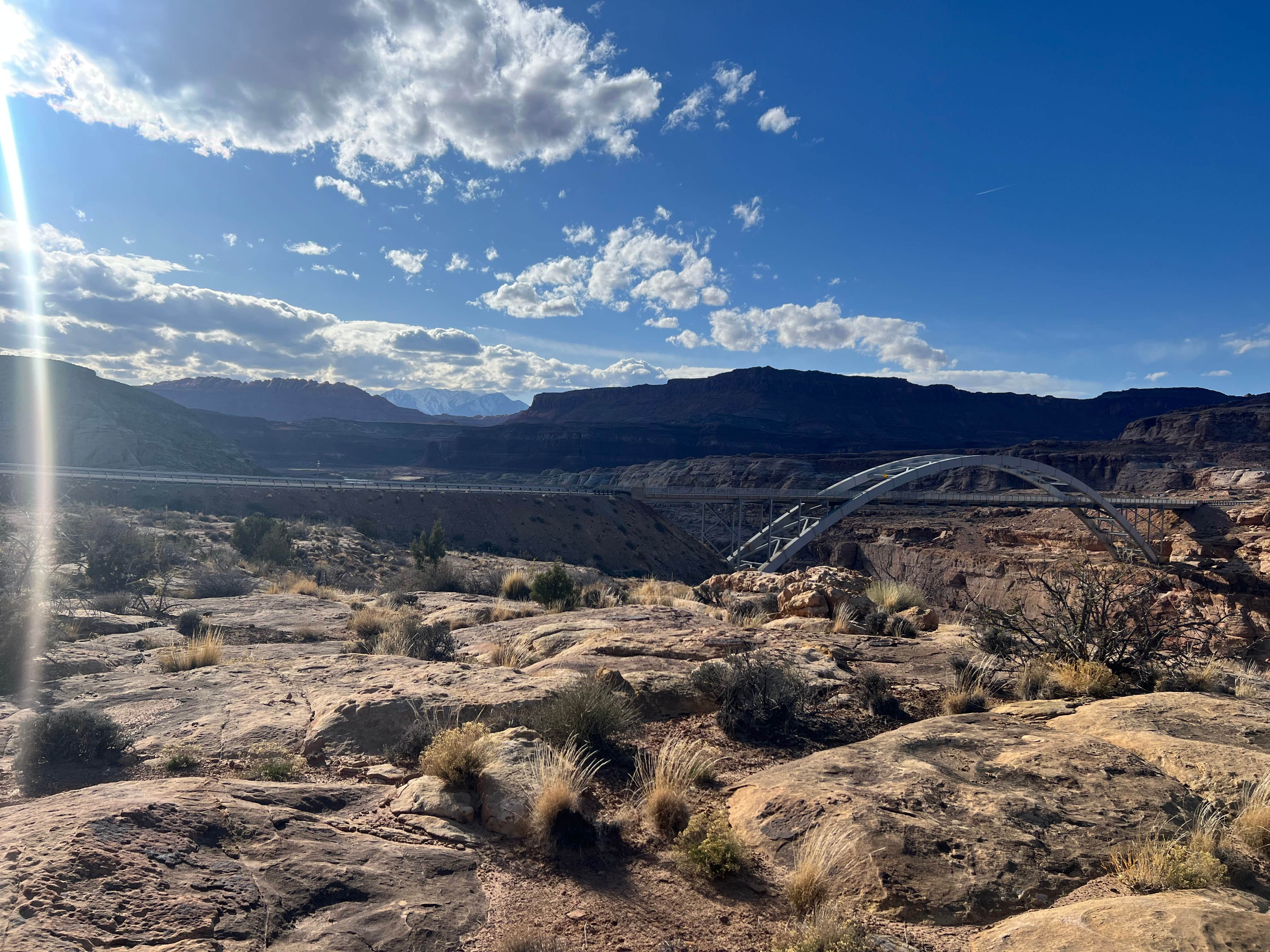 Camper submitted image from Colorado River Hite Bridge - 4