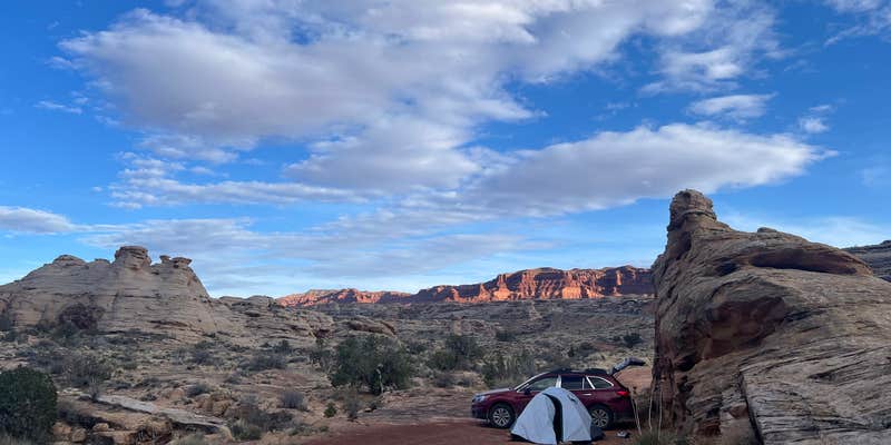 Camper submitted image from Colorado River Hite Bridge