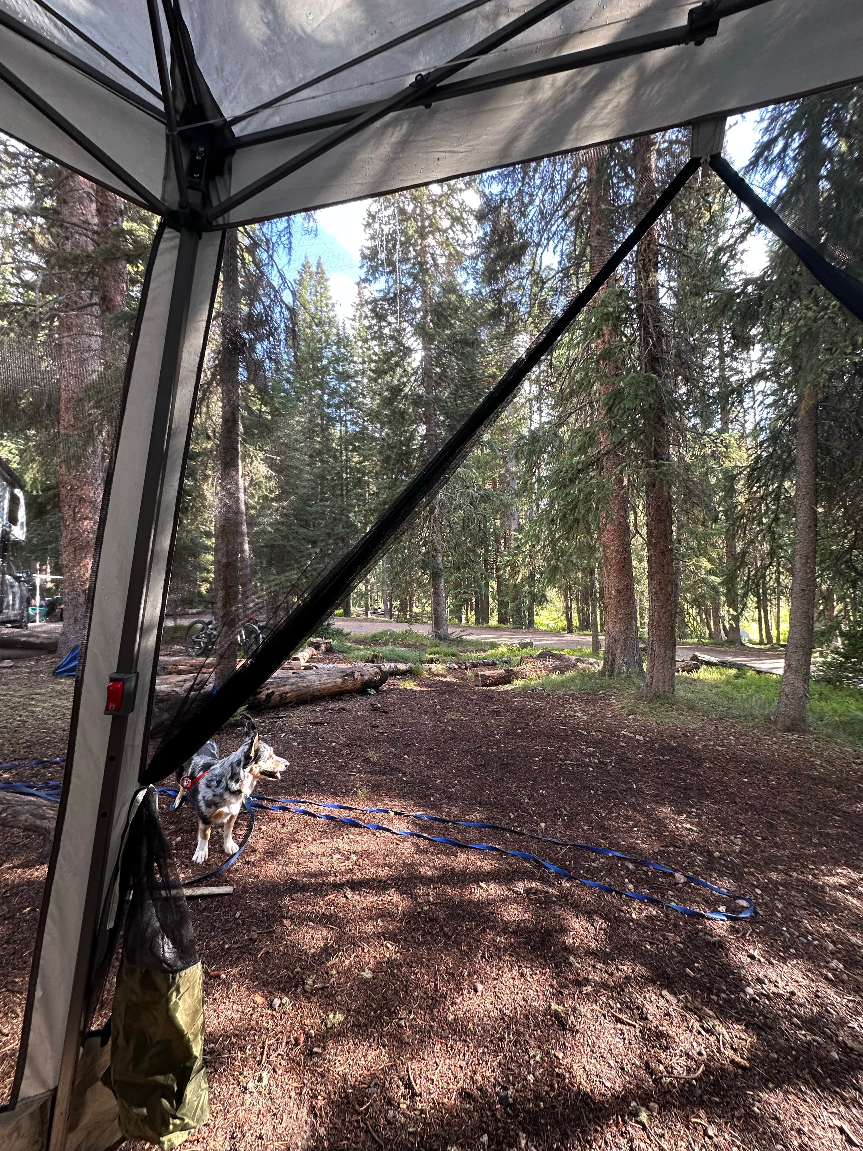 Camper-submitted photo at Robbers Roost Campground near Central City, CO