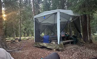 Michelle F.'s photo at Robbers Roost Campground near Fraser, CO