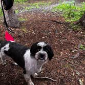 Review photo of Robbers Roost Campground by Paulina B., December 20, 2024