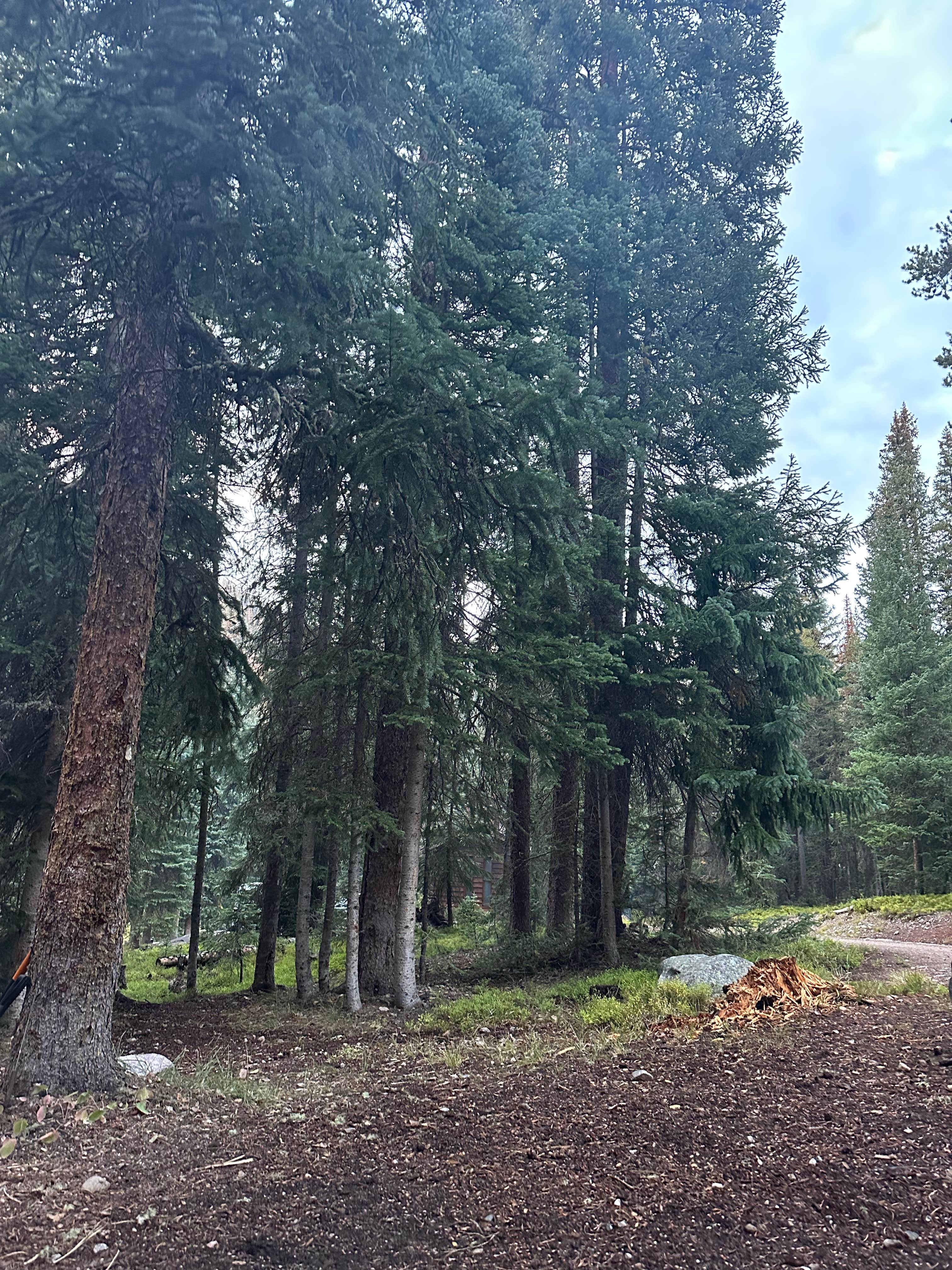 Camper-submitted photo at Robbers Roost Campground near Central City, CO