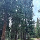 Review photo of Robbers Roost Campground by Michelle F., August 22, 2025