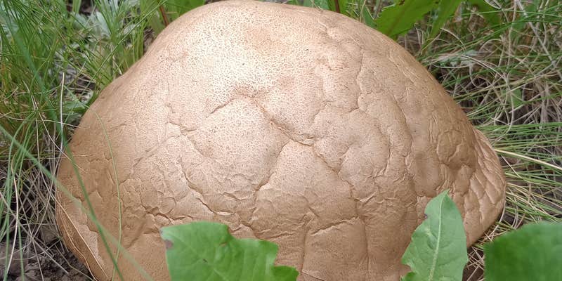 Camper submitted image from Rock Creek