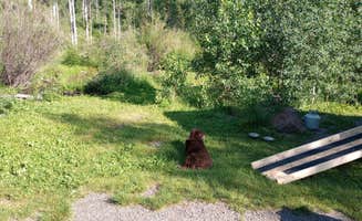 Will H.'s photo of camping with pets at Rock Creek near Antonito, CO