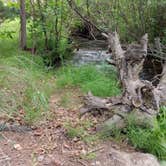 Review photo of Rock Creek by Will H., July 28, 2024