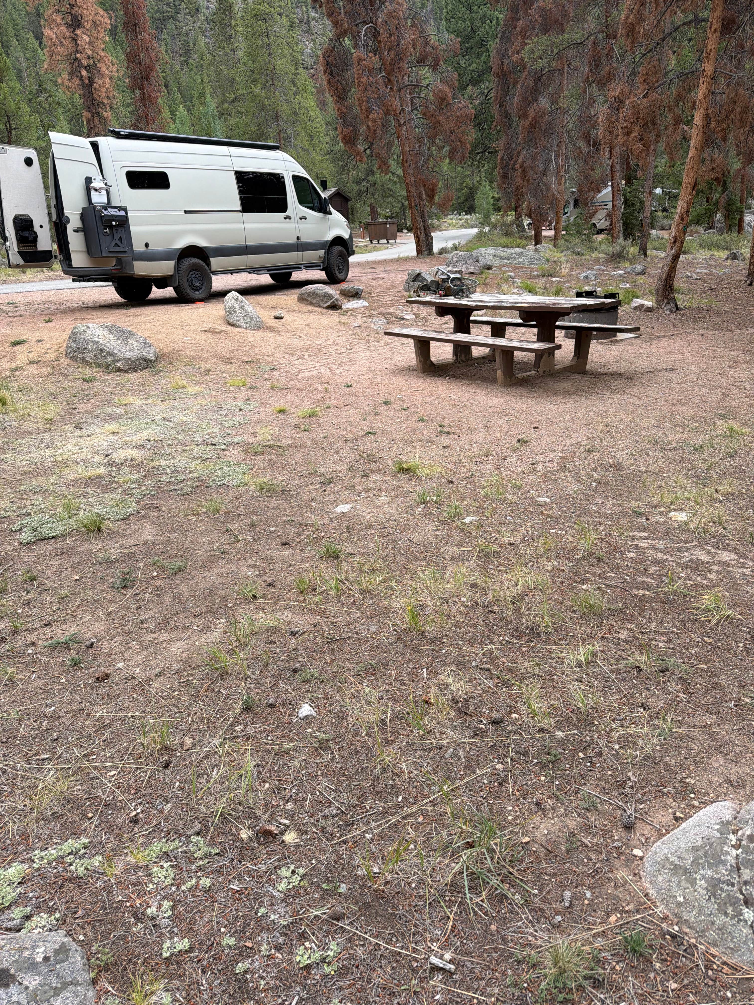 Erich B.'s photo of rv camping at Rosy Lane near Crested Butte, CO