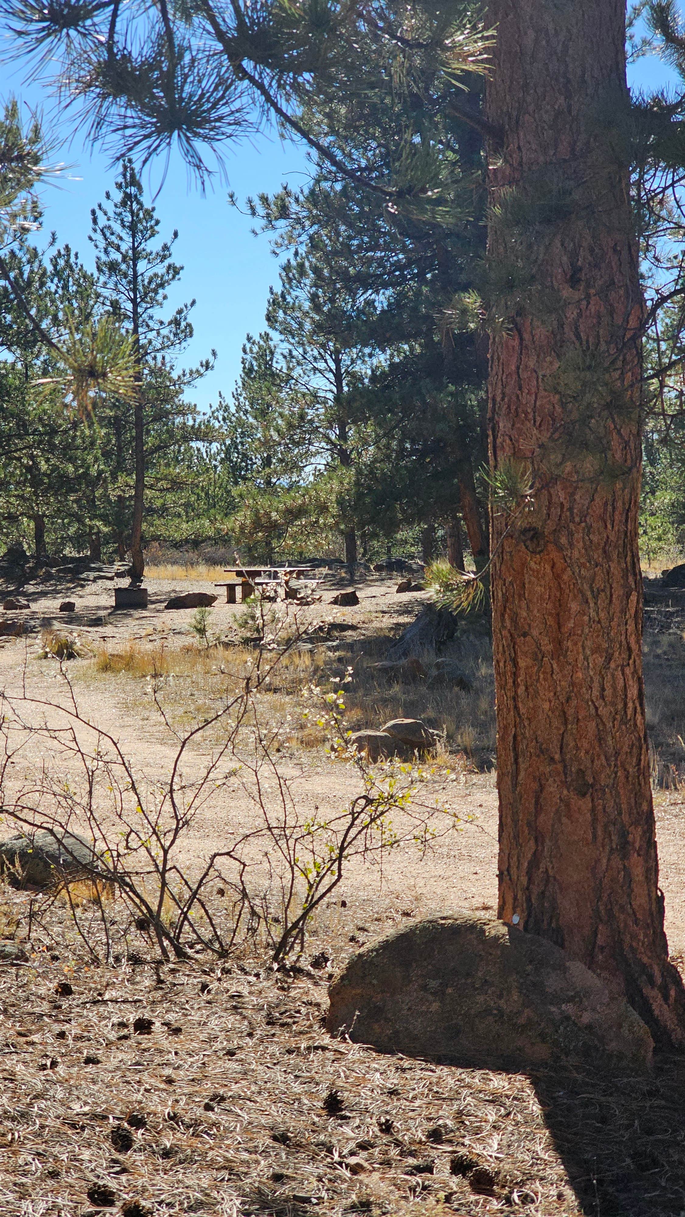 Camper-submitted photo at Round Mountain near Pike and San Isabel National Forests and Cimarron and Comanche National Grasslands