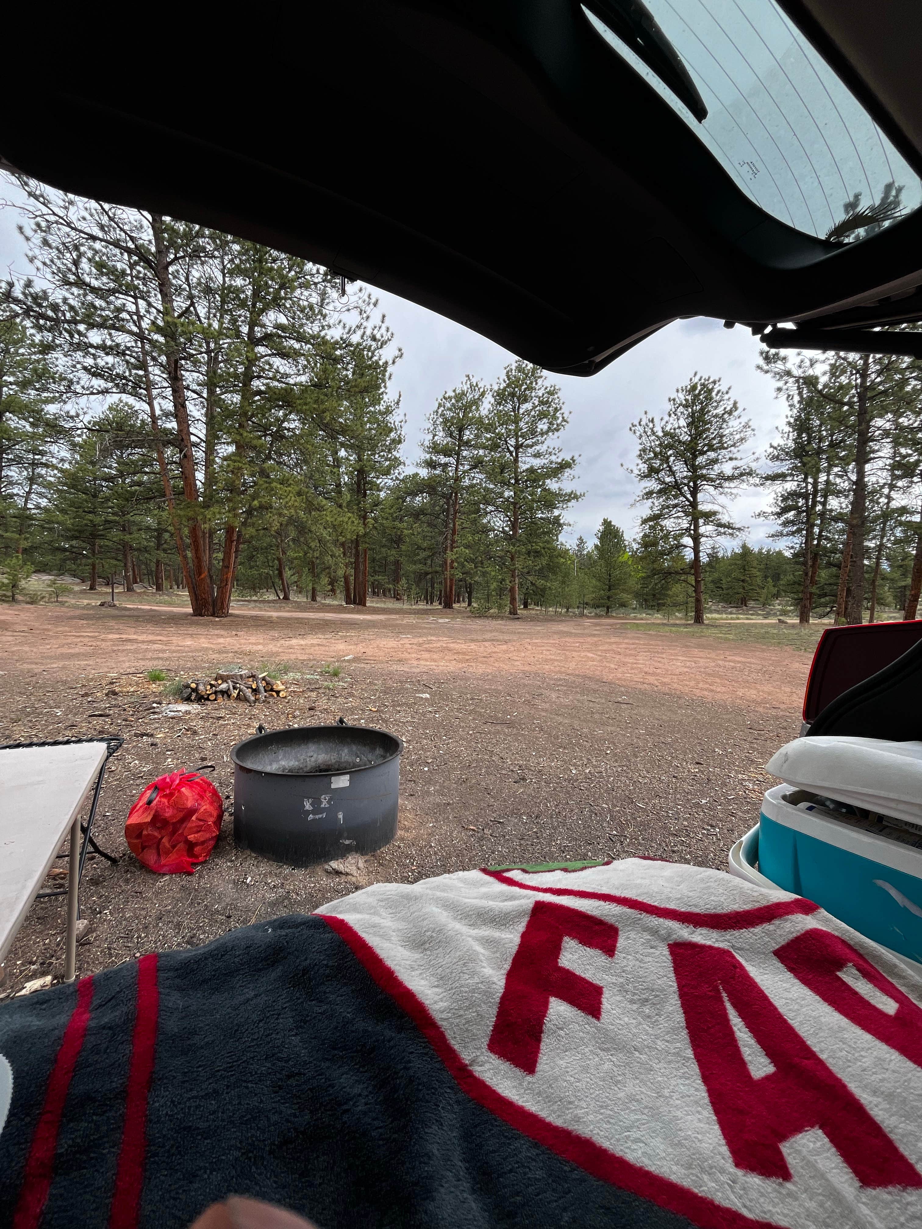 Sarah F.'s photo at Round Mountain near Florissant, CO