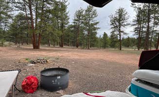 Sarah F.'s photo at Round Mountain near Florissant, CO