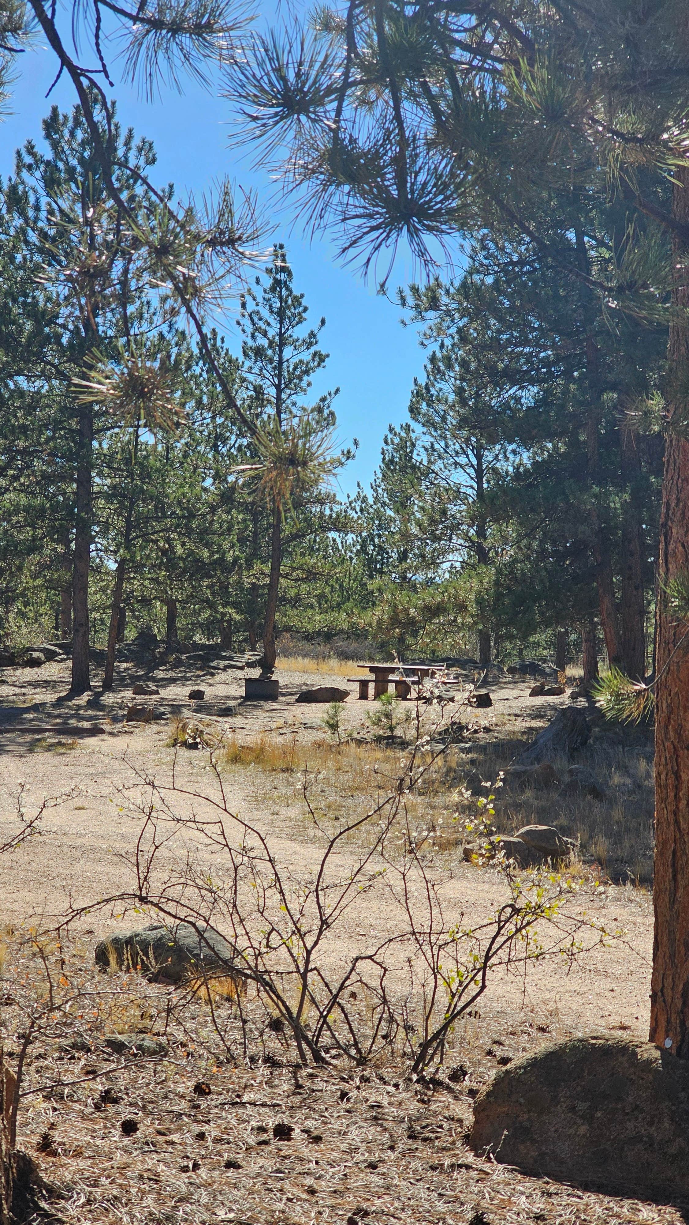 Camper submitted image from Round Mountain - 4